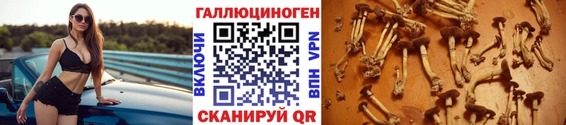 Псилоцибиновые грибы ЛСД  Купить закладки  Знаменск 
